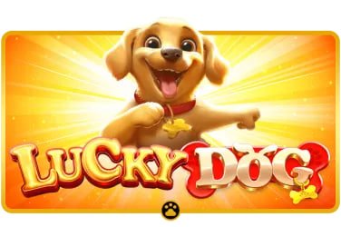 betflix2499